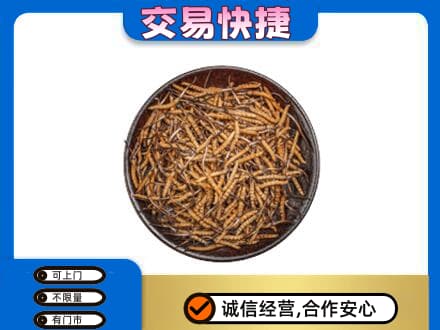 白沙县回收散虫草