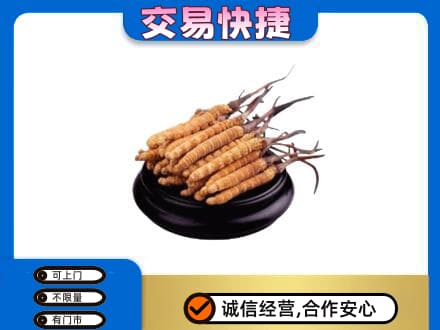 白沙县礼品回收散虫草.jpg